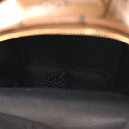 Louis Vuitton Reverse Monogram Palm Springs Backpack Mini 5 of 10