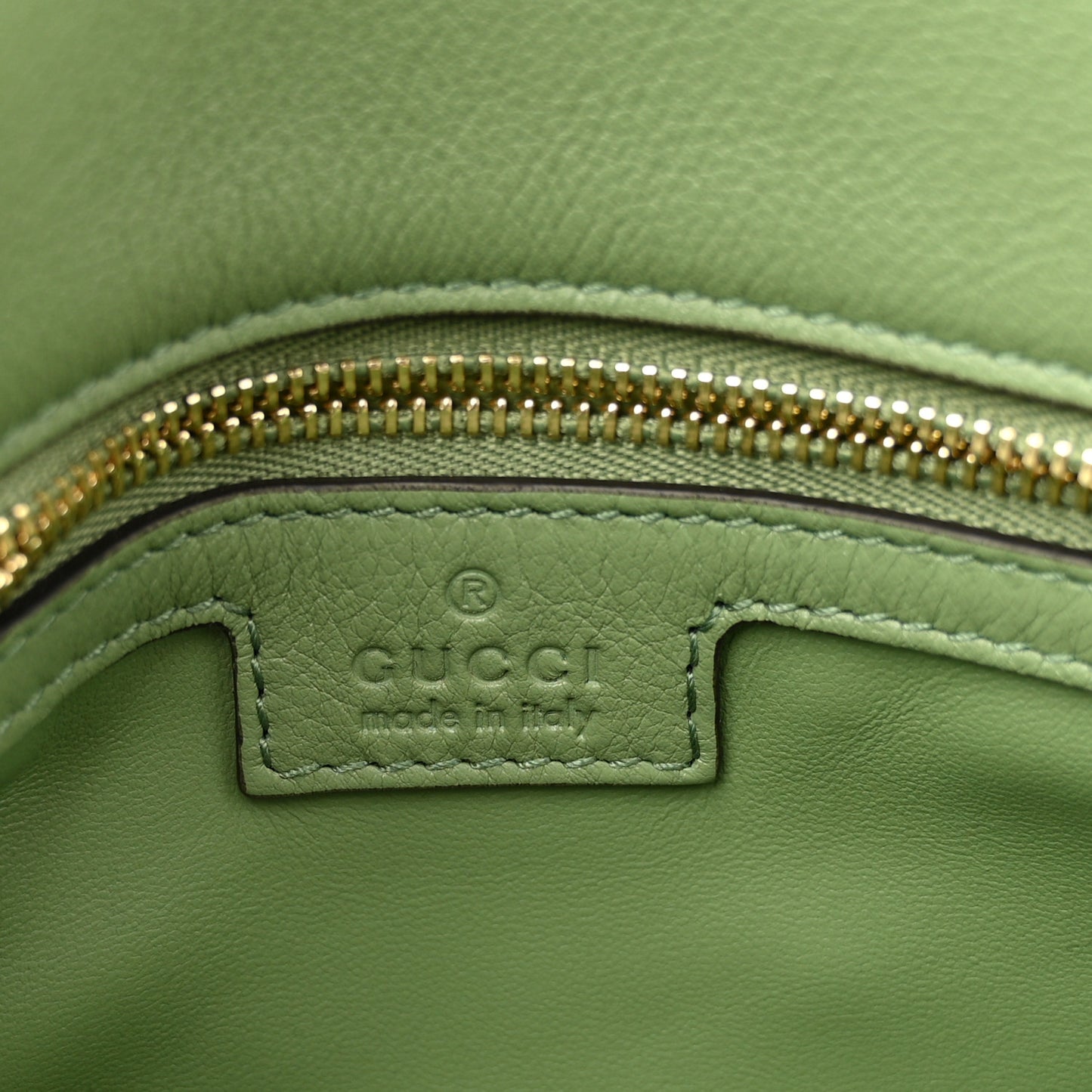 Roxy Calfskin Web Medium Blondie Top Handle Shoulder Flap Bag Salamander Green