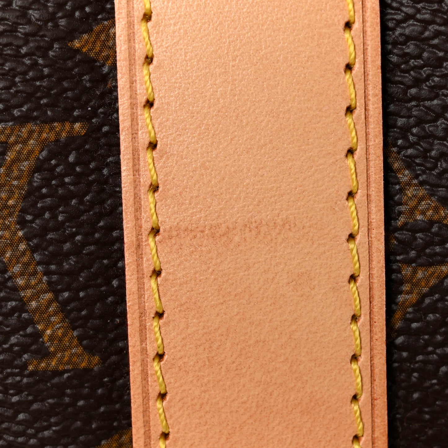 Monogram World Tour Keepall Bandouliere 50