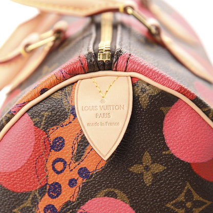 Louis Vuitton Monogram Ramages Speedy 30 Grenade 10 of 13