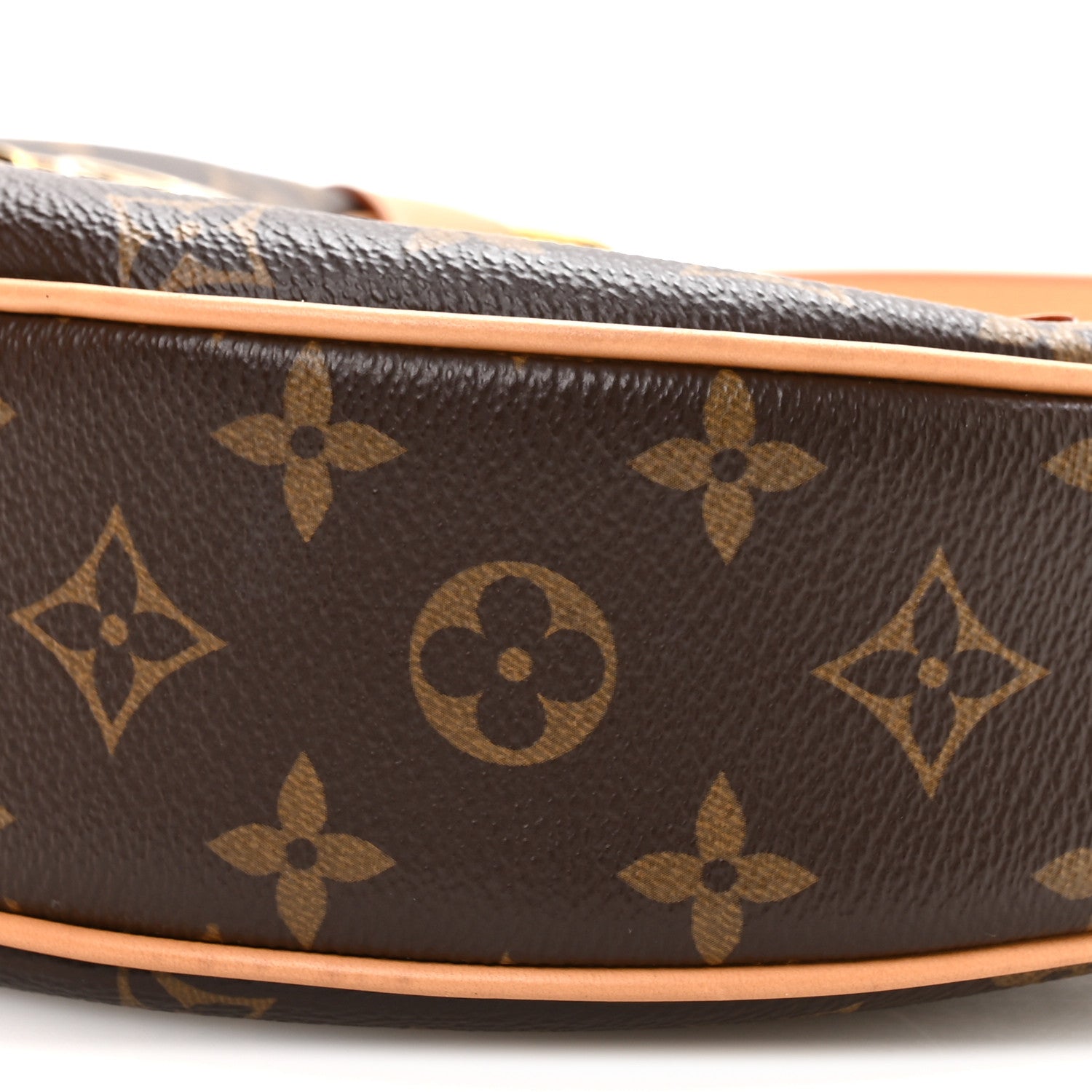 Louis Vuitton Monogram Loop 9 of 10