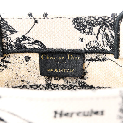 Christian Dior Canvas Embroidered Small Zodiac Toile De Jouy Book Tote Latte 6 of 12