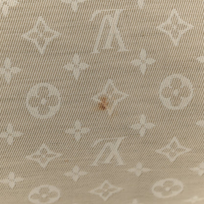 Louis Vuitton Mini Lin Speedy 30 Dune 13 of 16