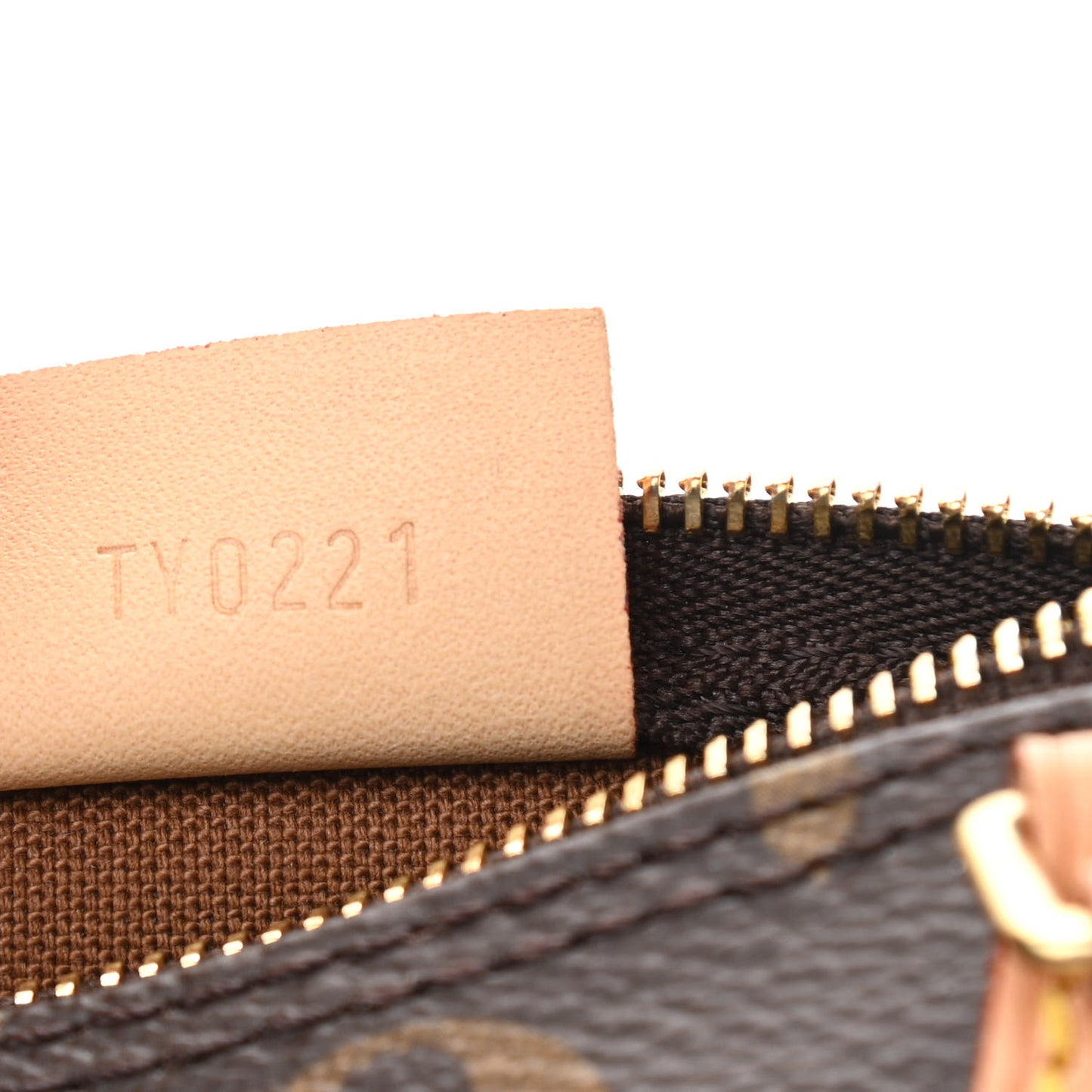 Monogram Nano Speedy