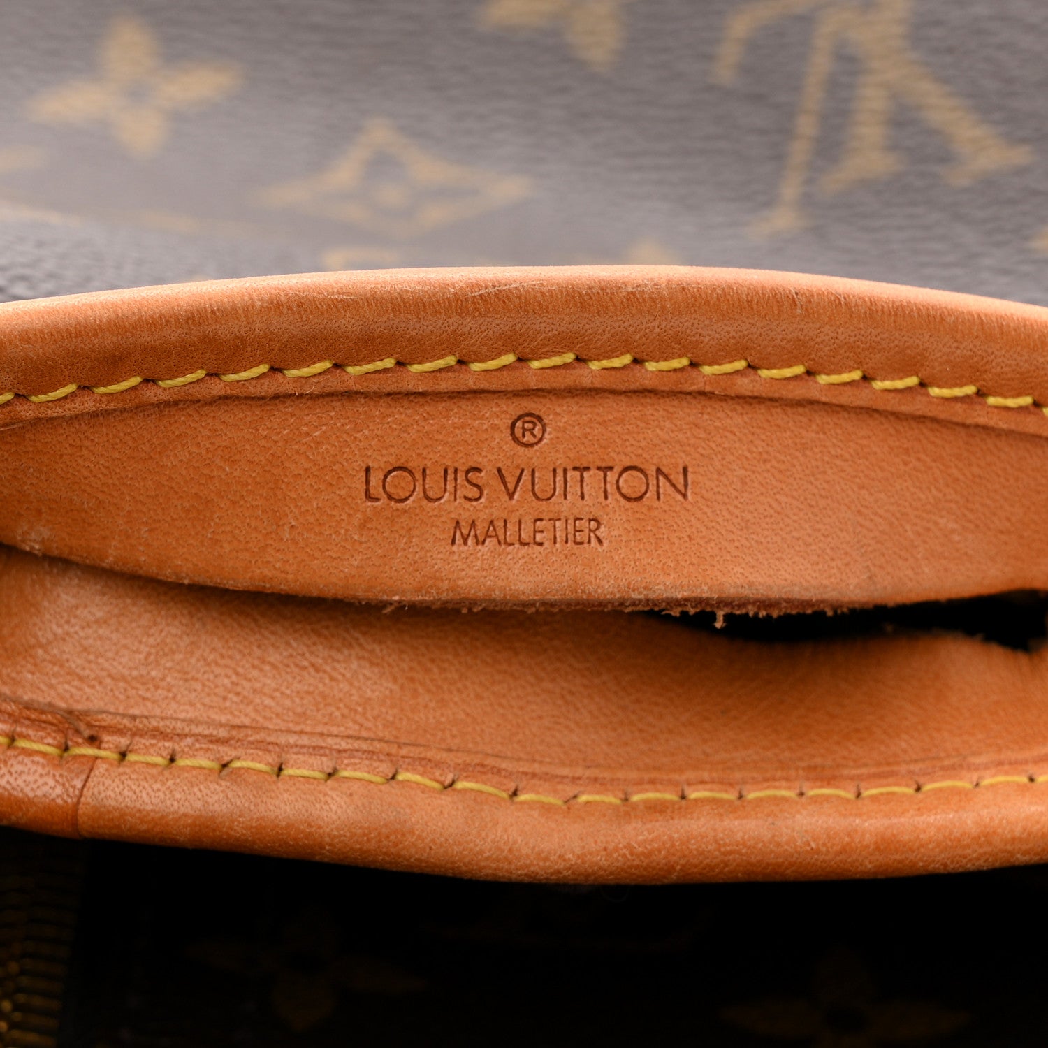 Louis Vuitton Monogram Garment Cover 5 of 11