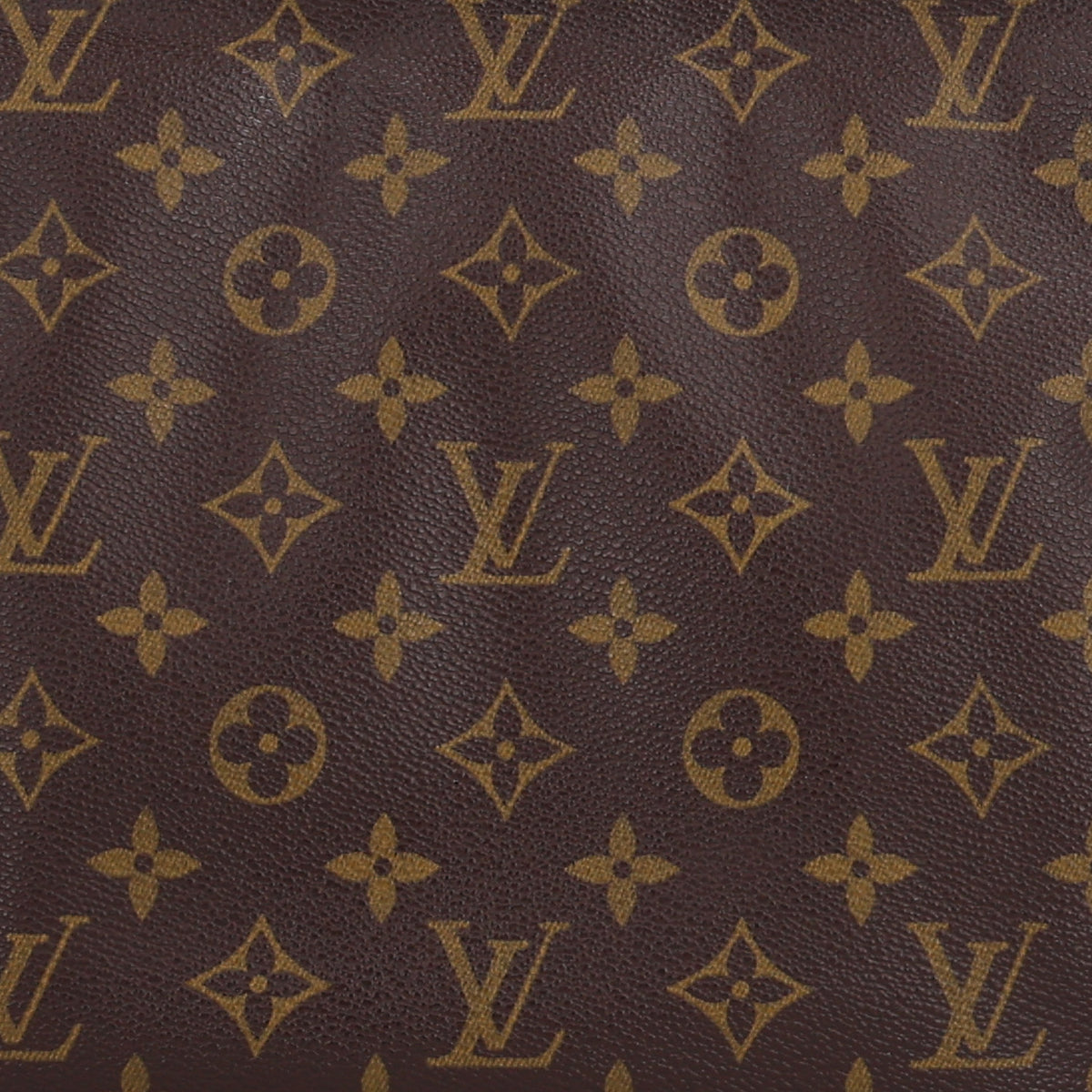 Monogram Looping MM