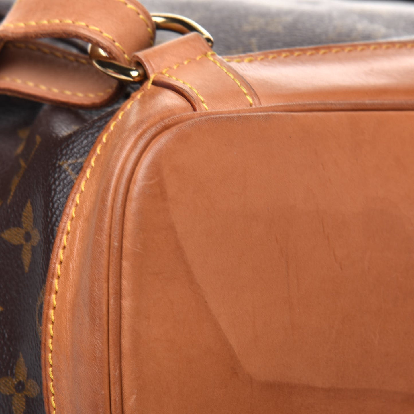 Monogram Montsouris GM Backpack