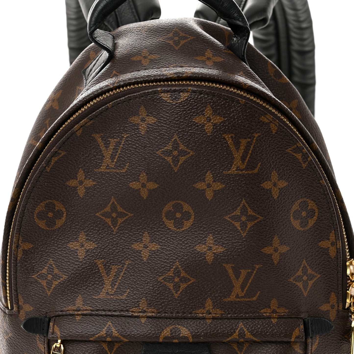 LOUIS VUITTON Monogram Palm Springs Backpack PM