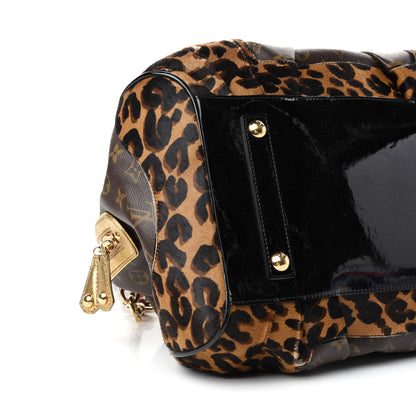 Louis Vuitton Monogram Leopard Stephen Bag 7 of 9