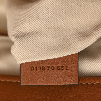 Chloe Calfskin Suede Raffia Medium Pixie Bag Caramel 7 of 12