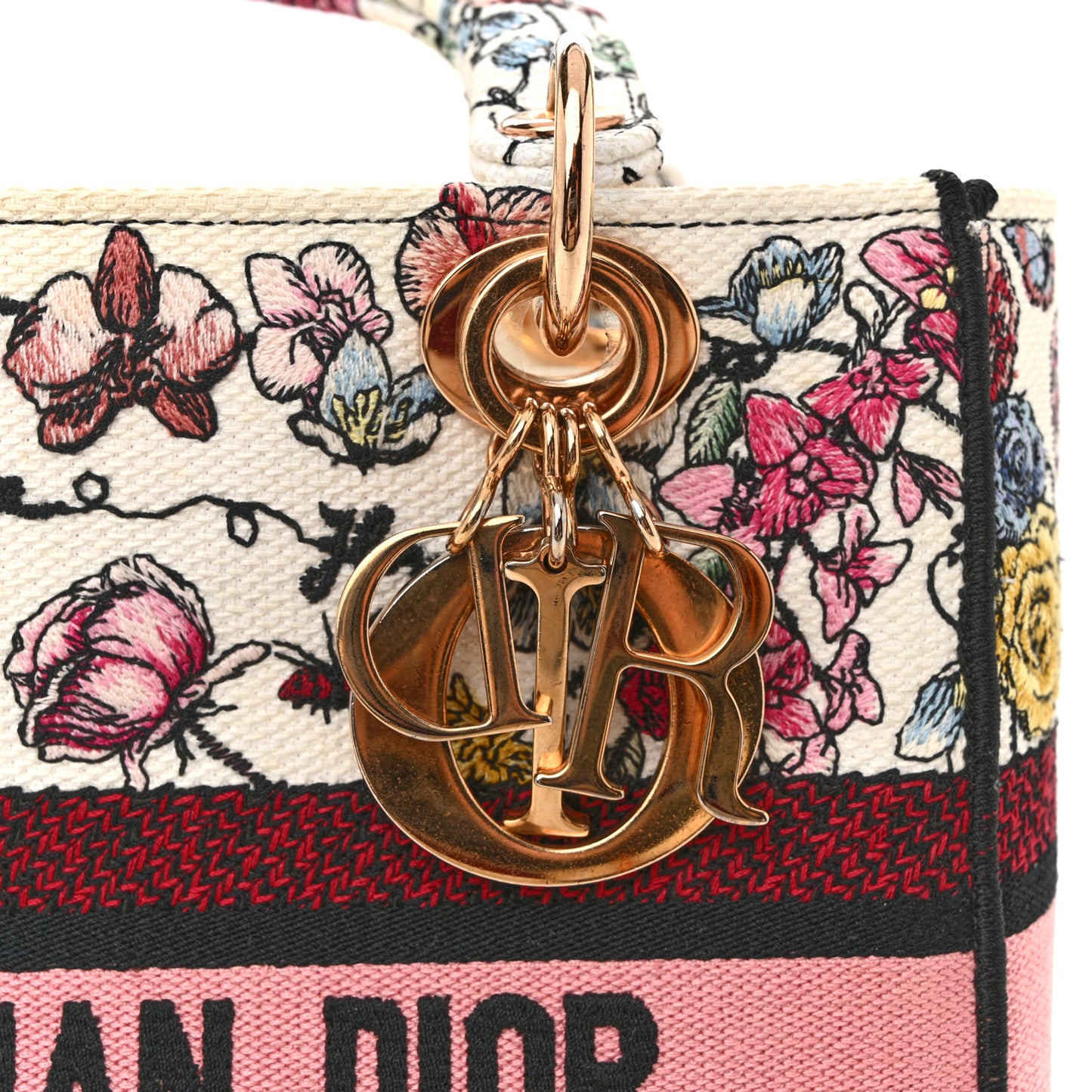 Canvas Florilegio Embroidered Medium Lady D-Lite White Multicolor