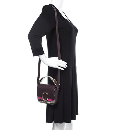 Chloe Shiny Goatskin Calfskin Lizard Embossed Mini C Double Carry Black Raisin 2 of 8
