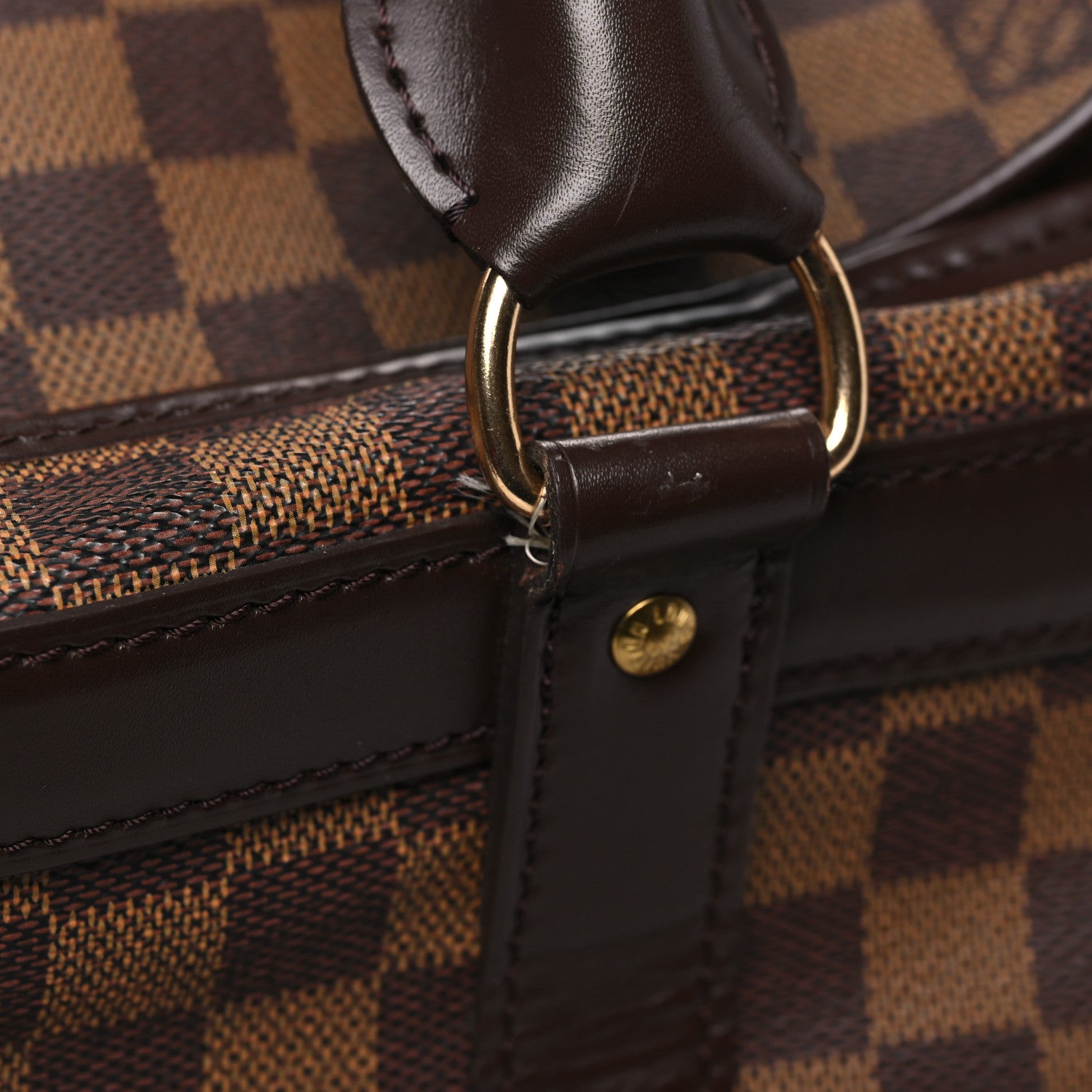 Louis Vuitton Damier Ebene Sac Chien 40 Pet Carrier 11 of 13