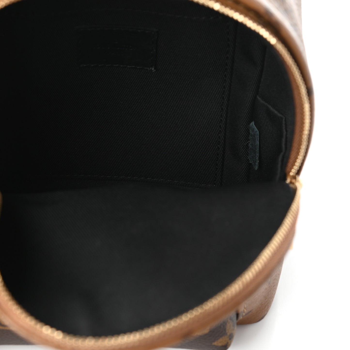 Reverse Monogram Palm Springs Backpack Mini