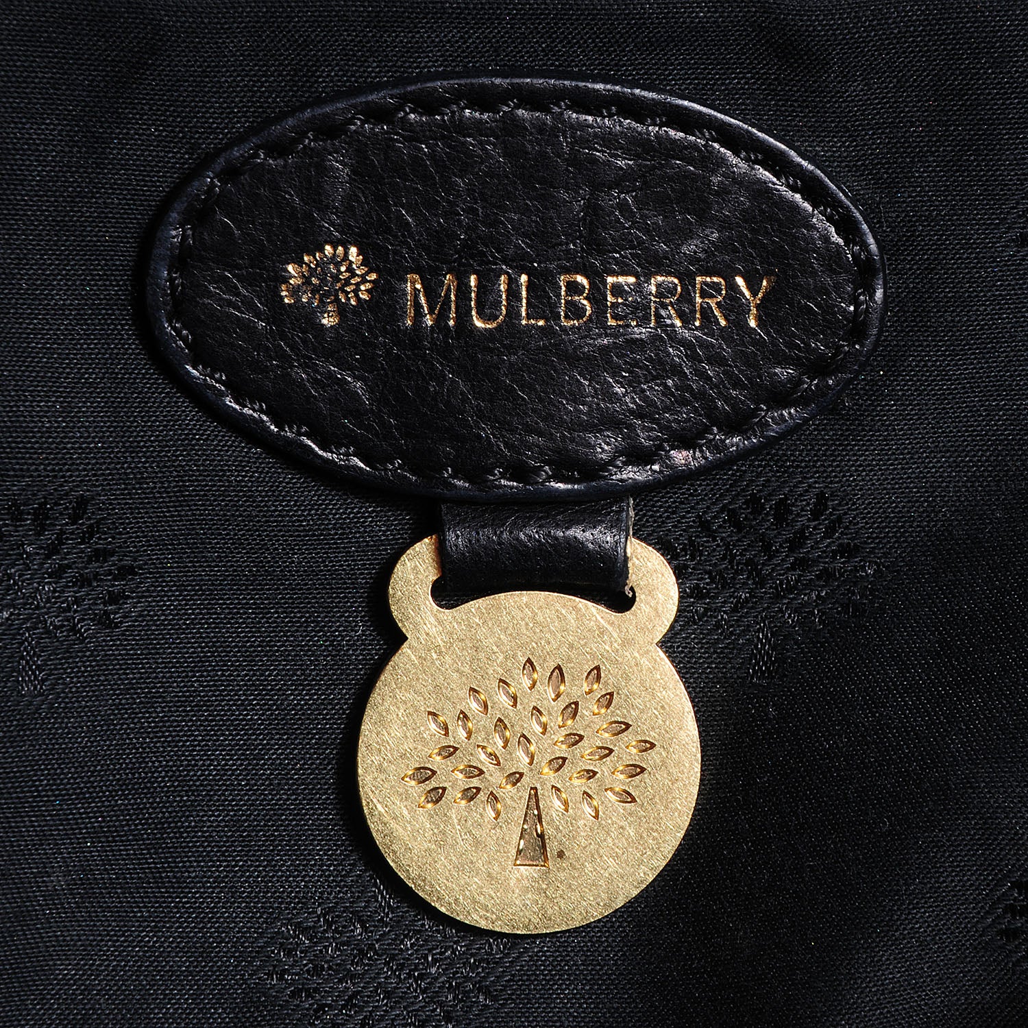 Mulberry Soft Buffalo Leather Medium Alexa Black 12 of 12