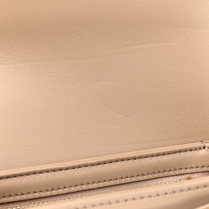 Celine Shiny Calfskin Teen Besace Safari 10 of 10
