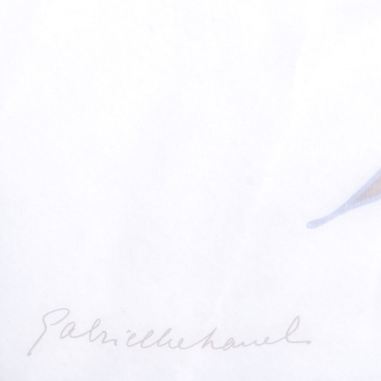 Chanel Silk Muslin Camellia Stole Blue Taupe Cream 4 of 6