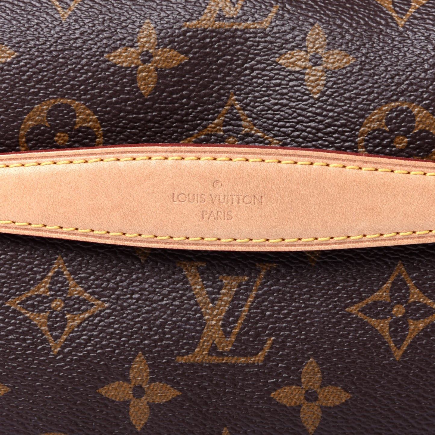 Monogram Bumbag