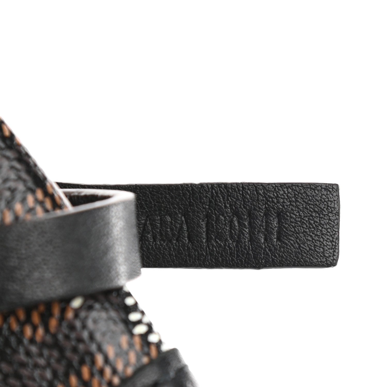 Goyard Goyardine Saint Louis PM Black 13 of 17