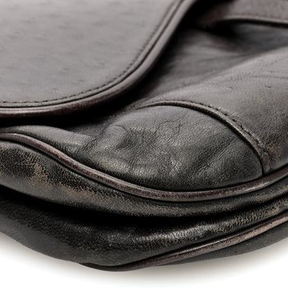 Christian Dior Ostrich Embossed Double Saddle Bag Brown 9 of 11