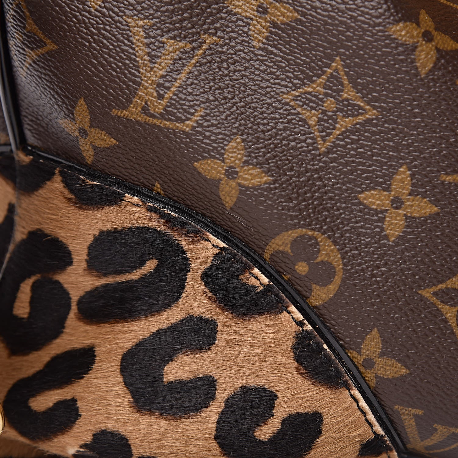 Louis Vuitton Monogram Leopard Adele 10 of 13