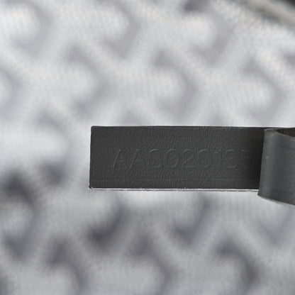 Goyard Goyardine Saint Louis GM Grey 14 of 23