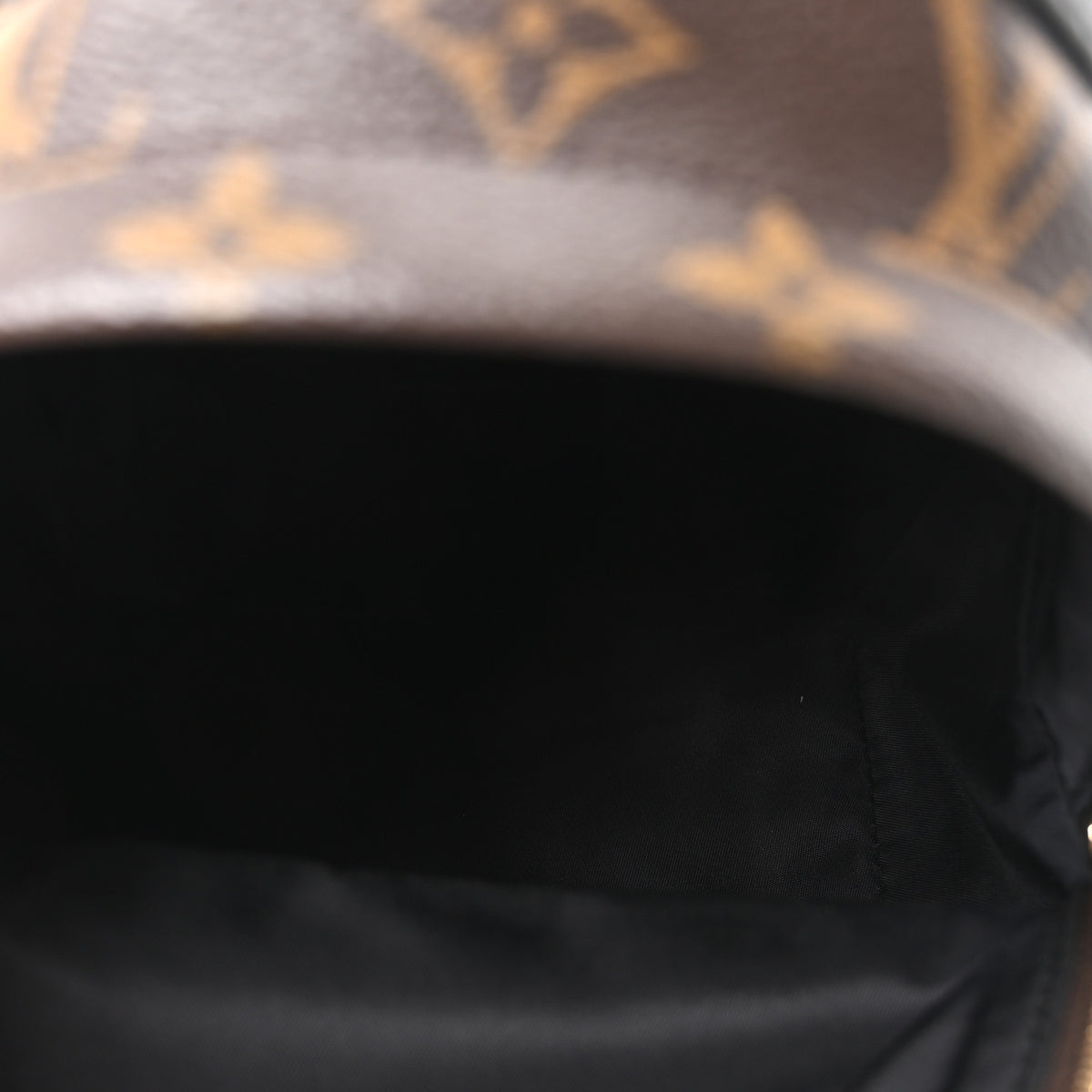Monogram Palm Springs Backpack Mini