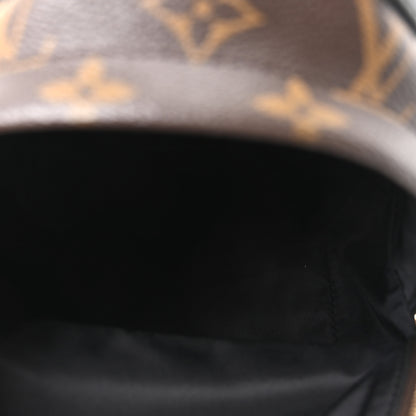 Louis Vuitton Monogram Palm Springs Backpack Mini 4 of 9
