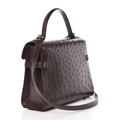 Delvaux Ostrich MM Tempete Satchel Brown 3 of 9