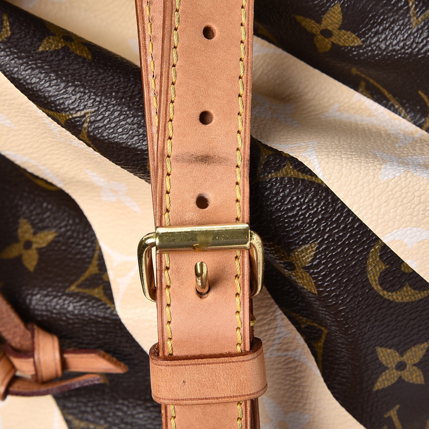 Louis Vuitton Monogram Rayures Noe 13 of 20