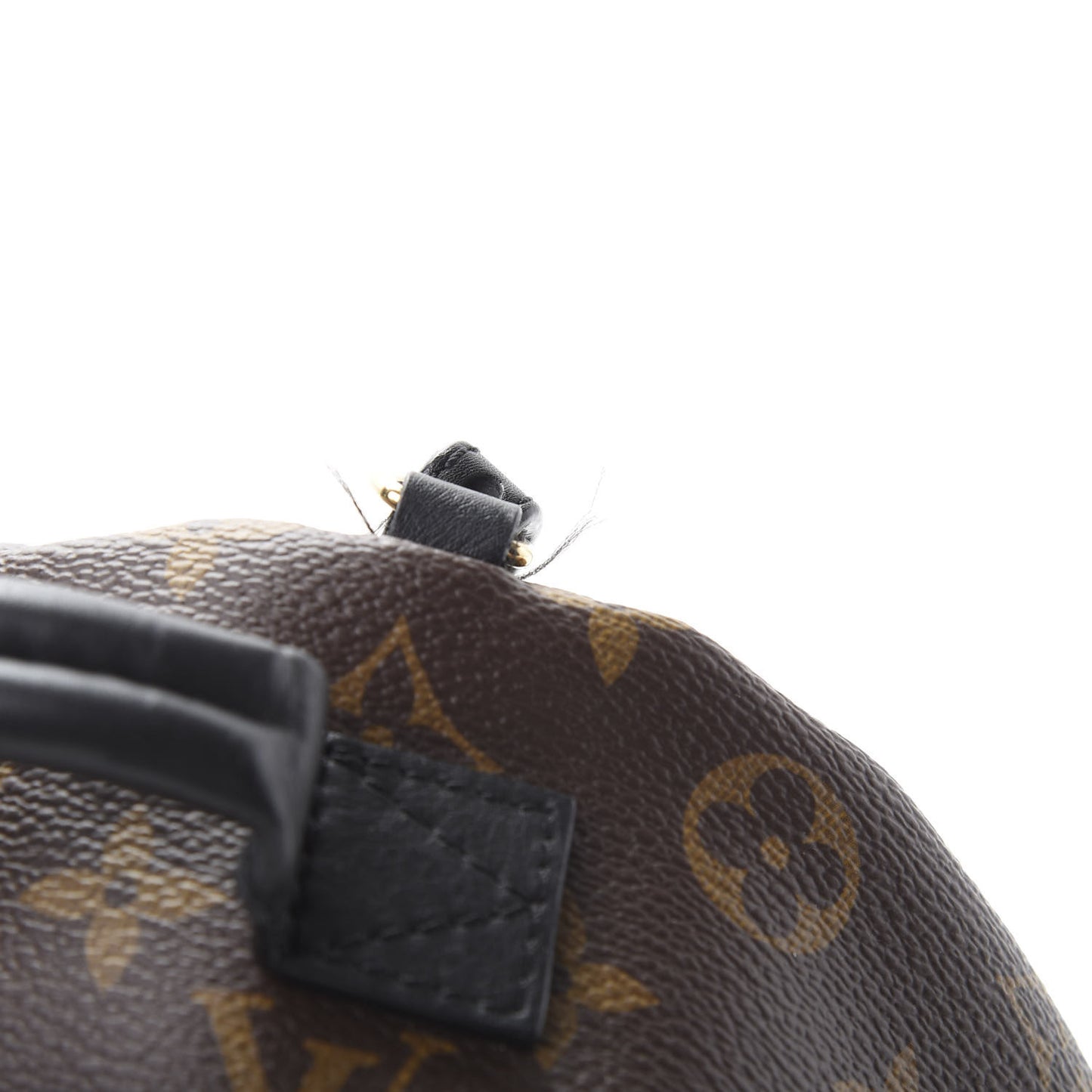 Monogram Palm Springs Backpack Mini