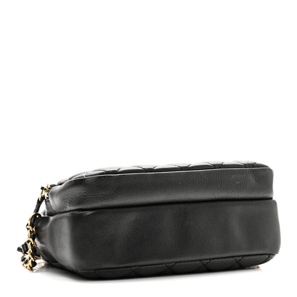 Chanel Calfskin Quilted Day Trips Camera Case Black 4 of 10