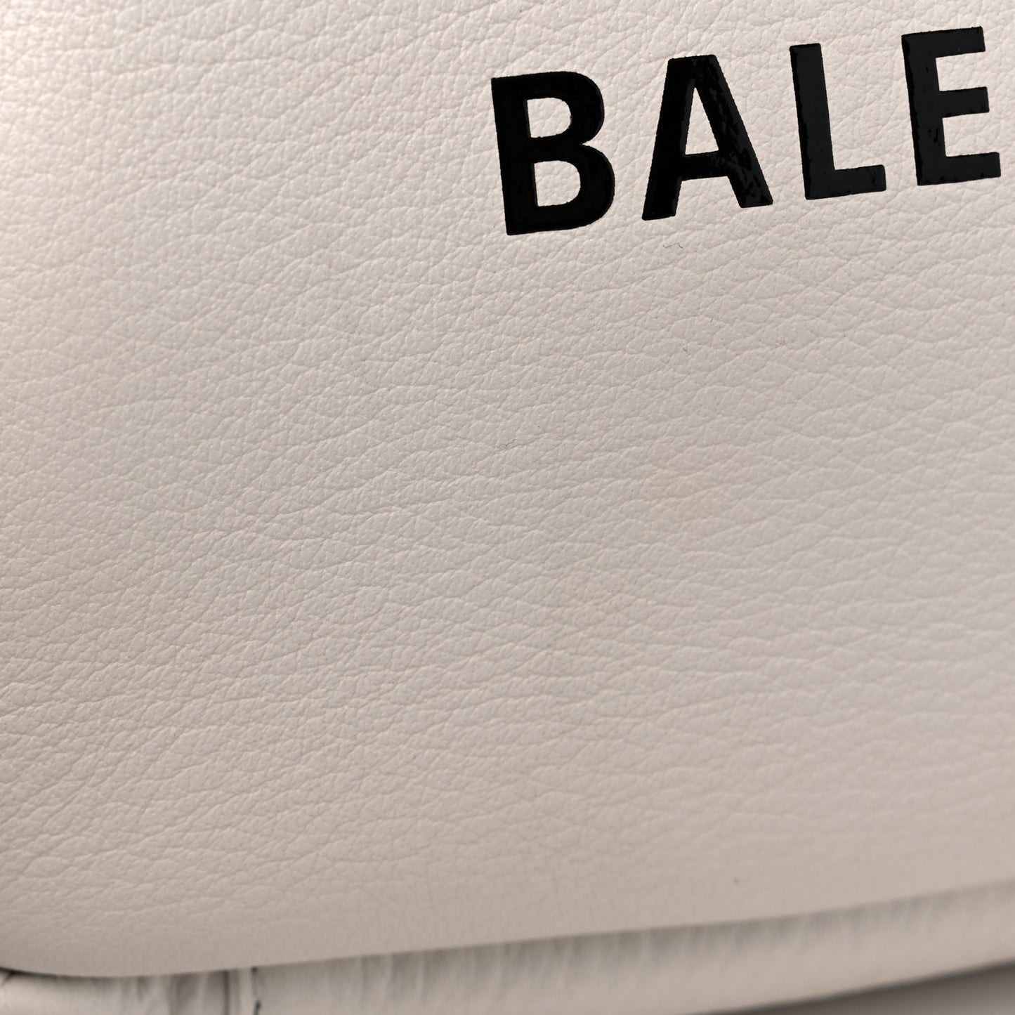 Calfskin Logo S Everyday Camera Bag White