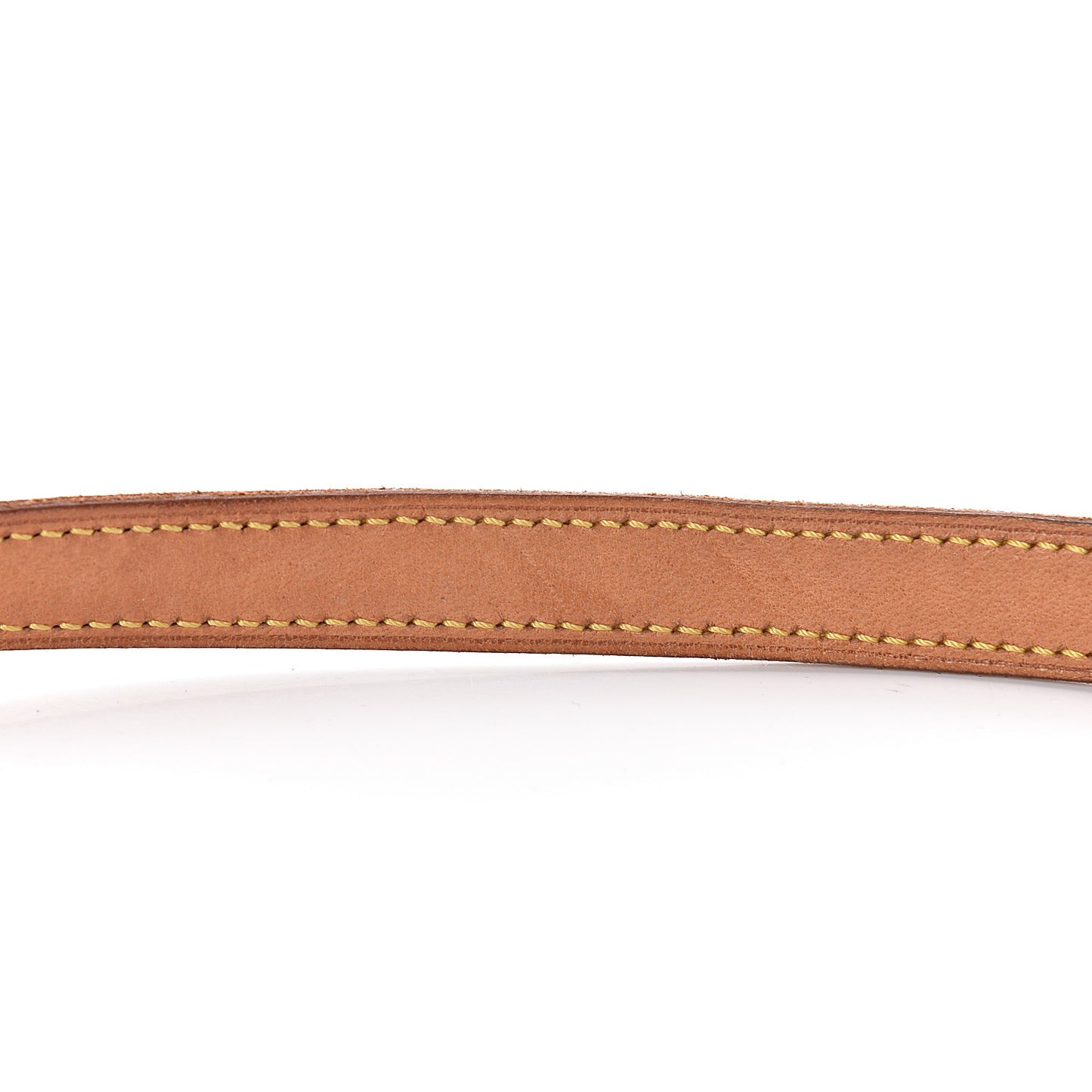 Monogram Musette Salsa