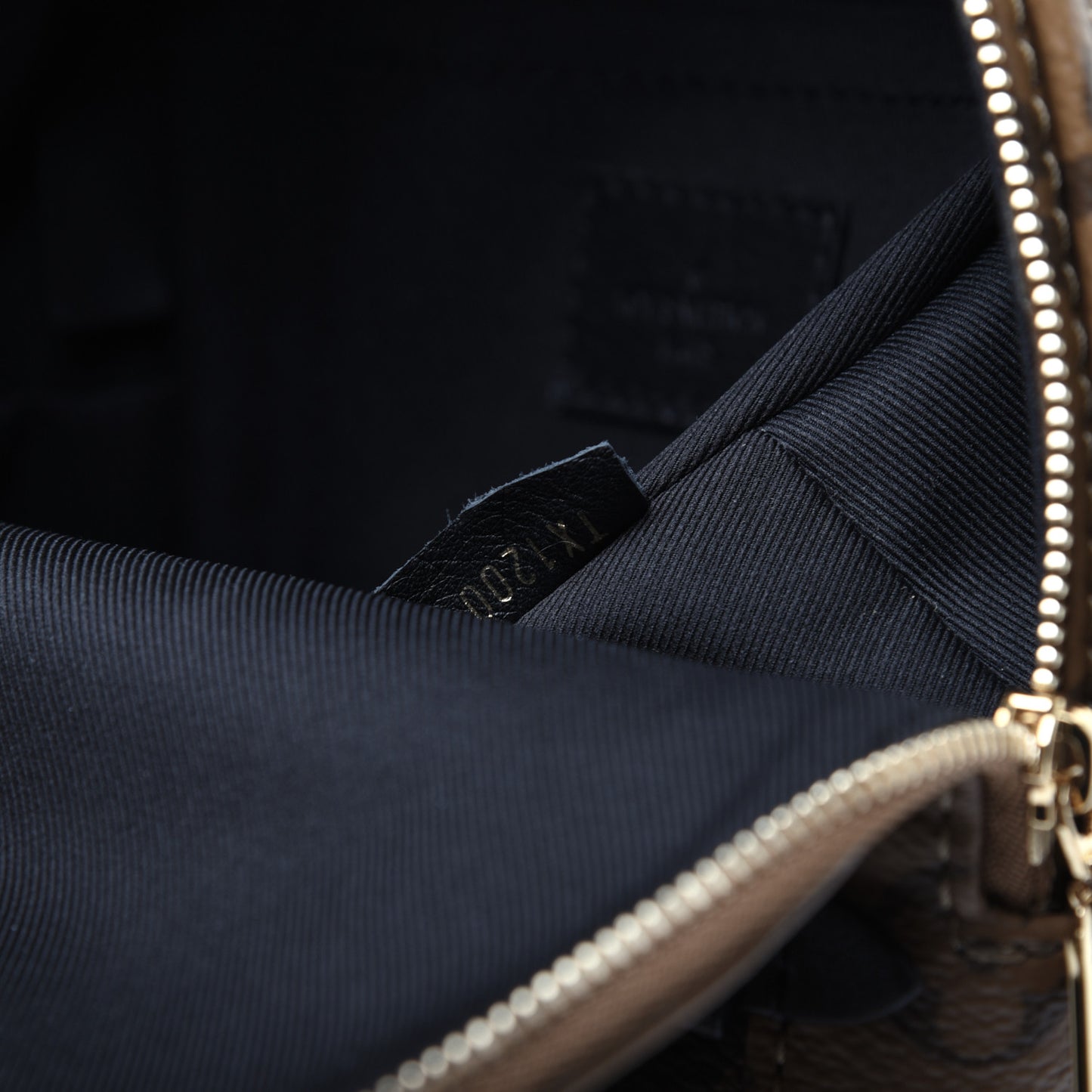 Reverse Monogram Palm Springs Backpack Mini