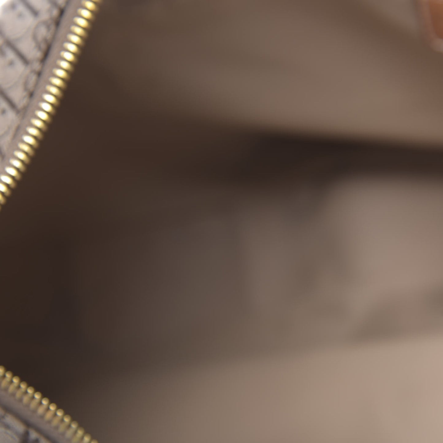 Monogram Street Chic Hobo Beige