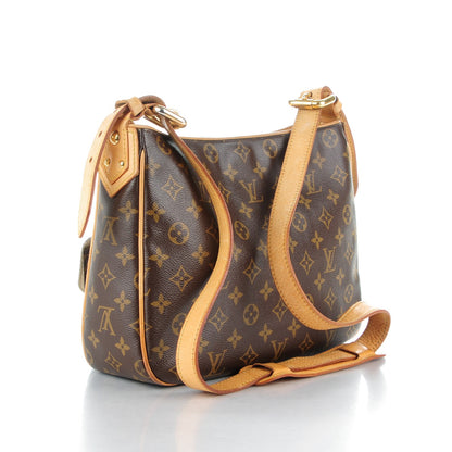 Louis Vuitton Monogram Hudson GM 3 of 15
