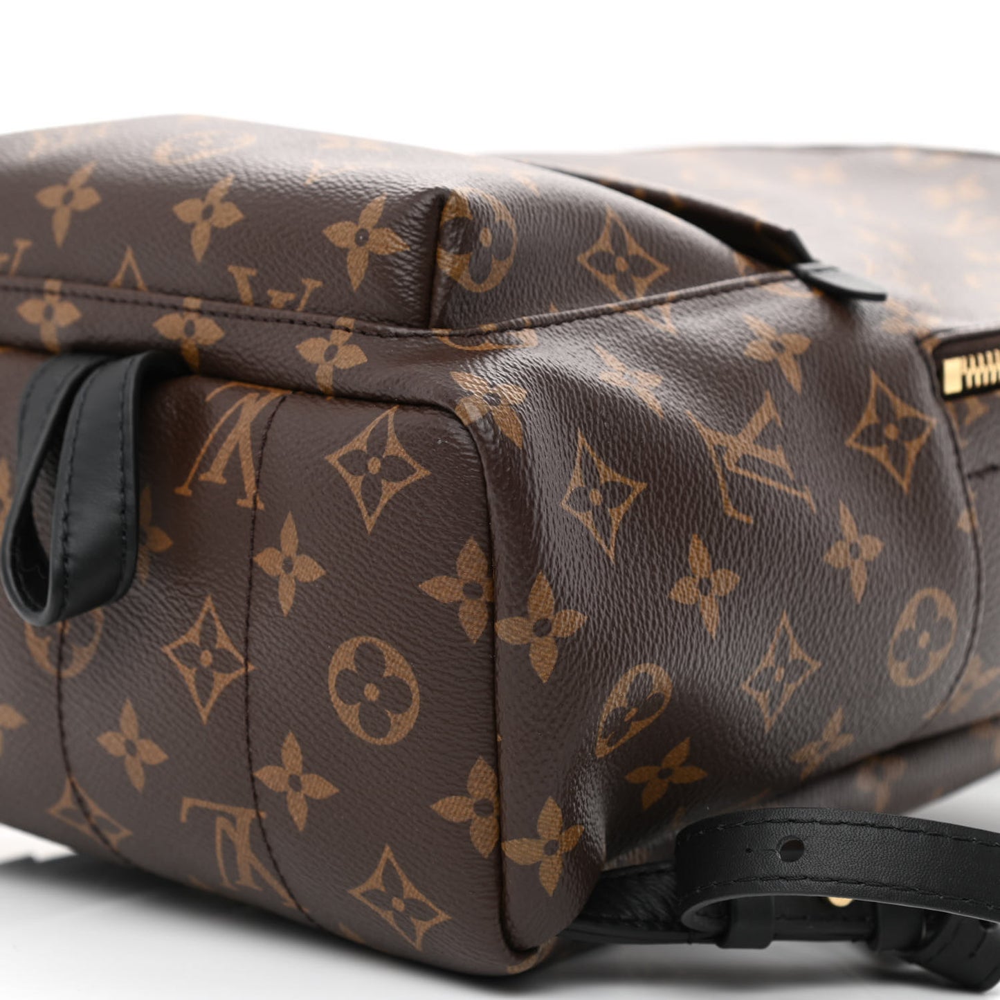 Monogram Palm Springs Backpack PM
