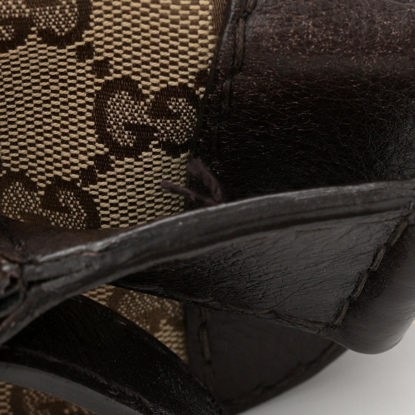 Monogram Charlotte Medium Hobo Brown
