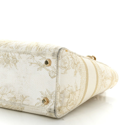 Christian Dior Canvas Embroidered Jardin D'Hiver Medium Lady D-Lite White Gold 10 of 14