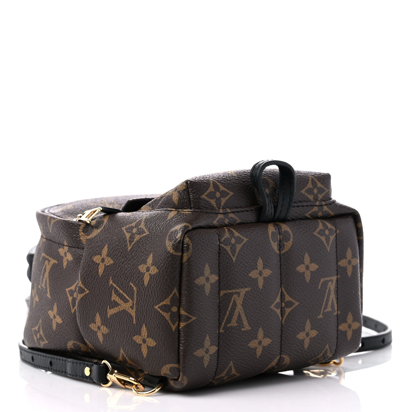 Monogram Palm Springs Backpack Mini