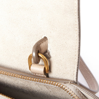 Celine Grained Calfskin Nano Belt Bag Light Taupe 8 of 8