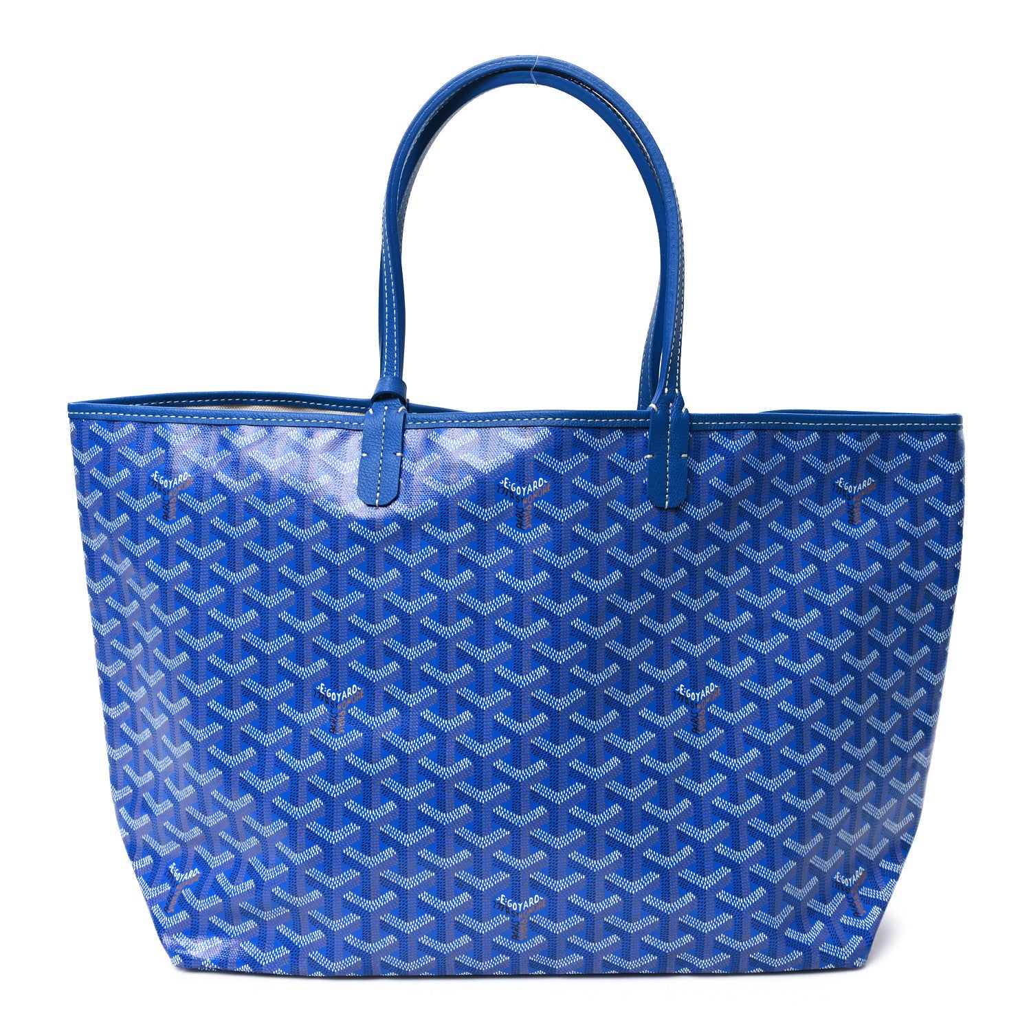 Goyard Goyardine Saint Louis PM Sky Blue 1 of 10