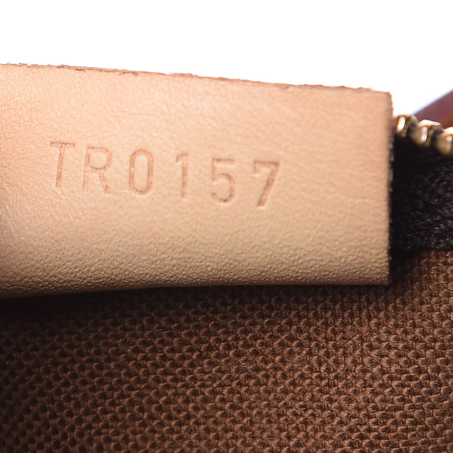 Monogram Nano Speedy