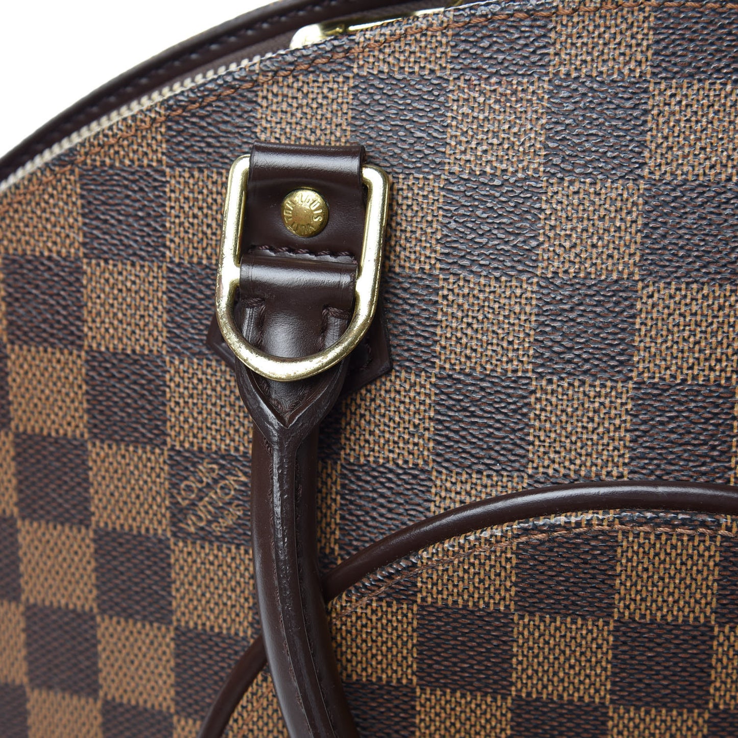 Damier Ebene Ellipse MM