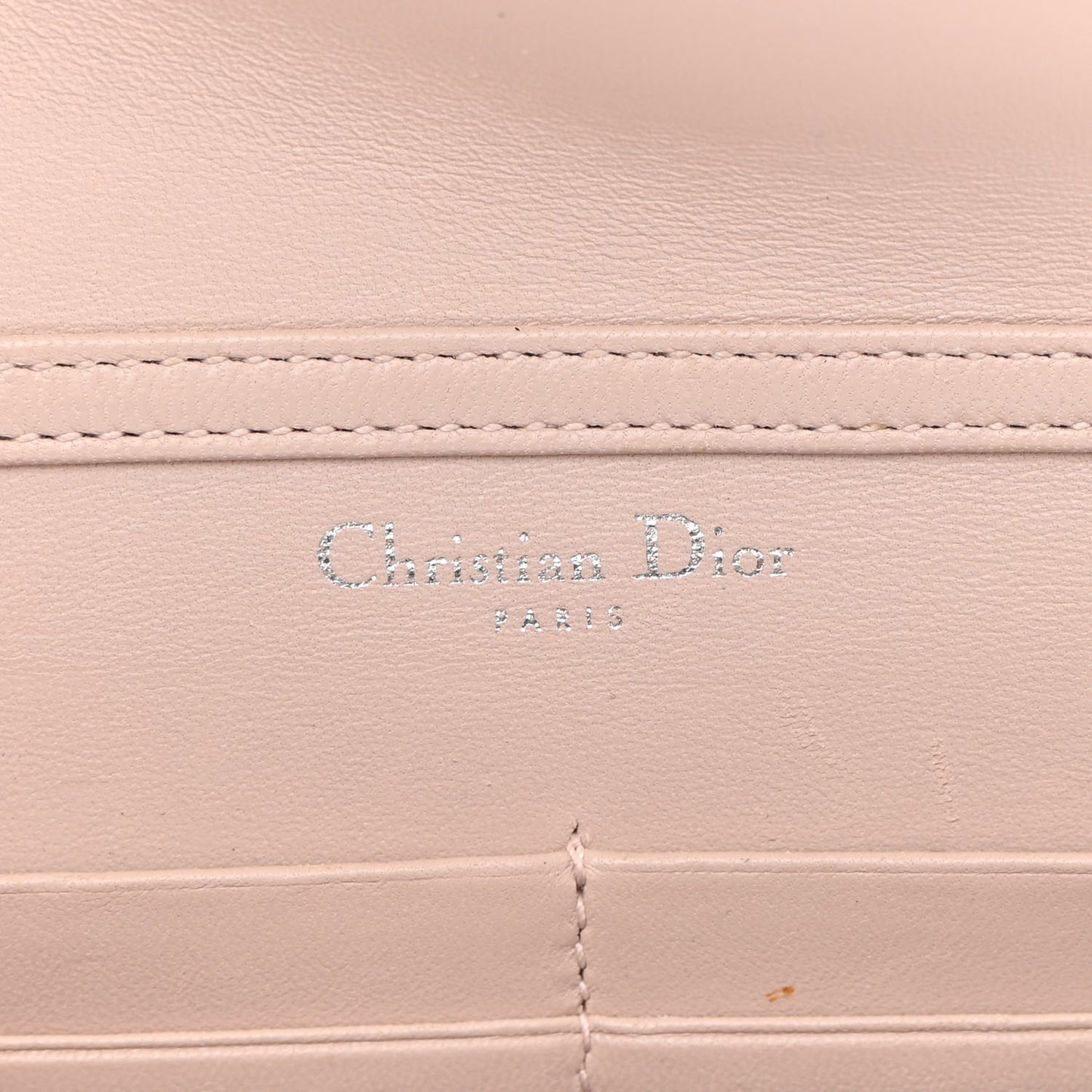 Grained Calfskin Diorama Wallet on Chain Pouch Nude