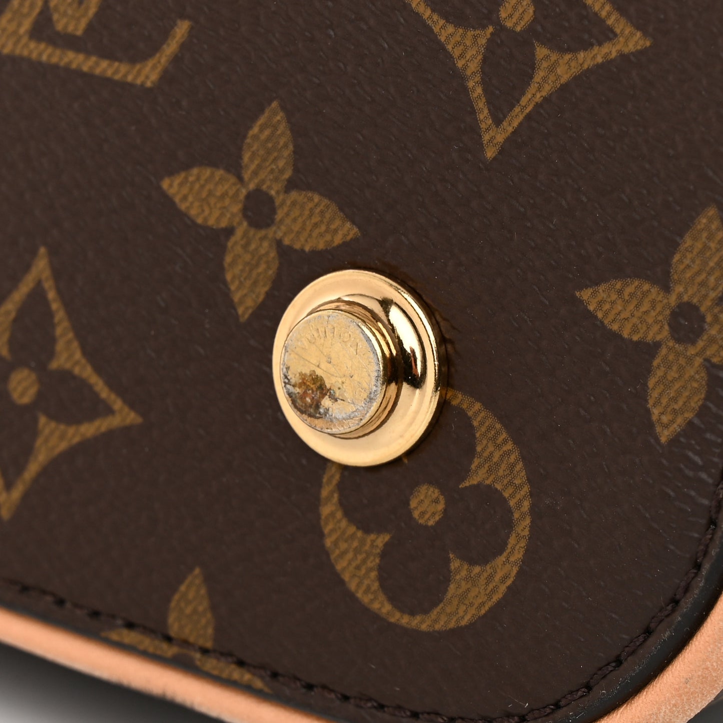 Monogram Carry All MM