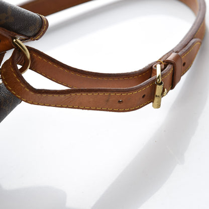 Louis Vuitton Monogram Petit Noe 15 of 16