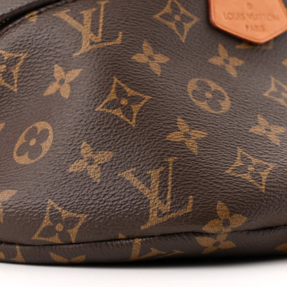 Louis Vuitton Monogram Bumbag 9 of 10