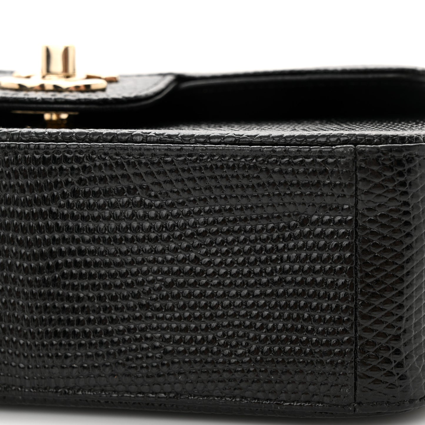 Lizard Mini Rectangular Flap Black
